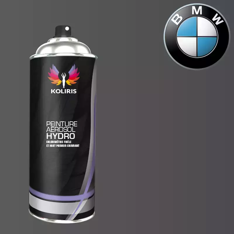 Bombe de peinture voiture hydro Bmw 400ml