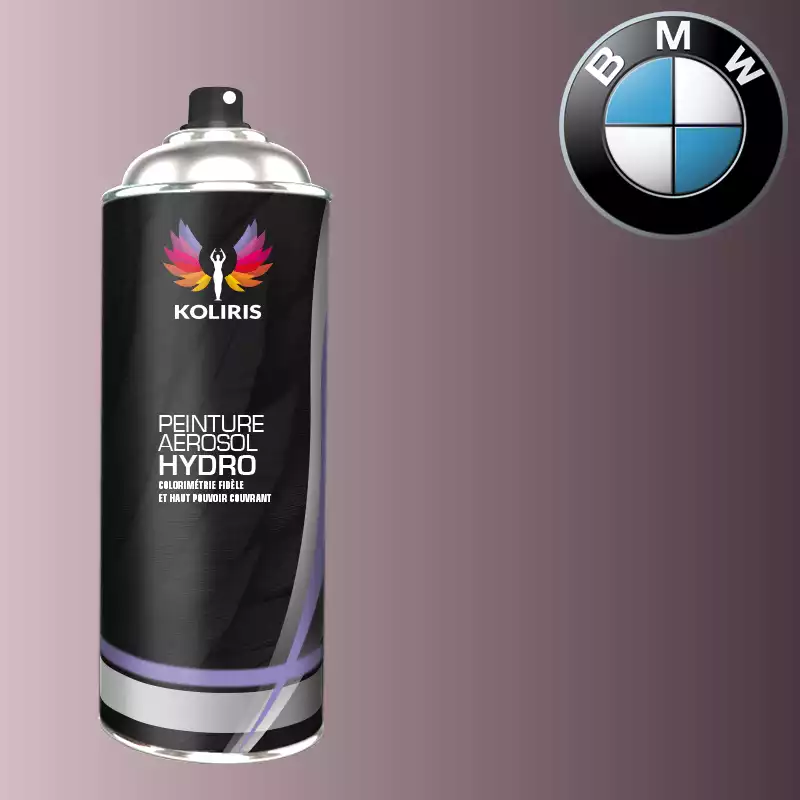 Bombe de peinture voiture hydro Bmw 400ml