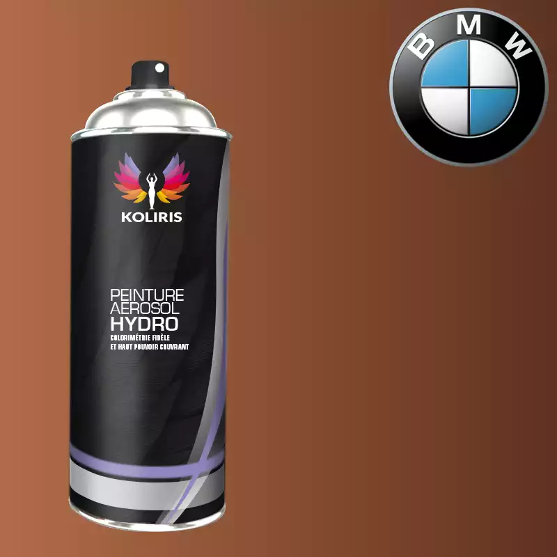 Bombe de peinture voiture hydro Bmw 400ml