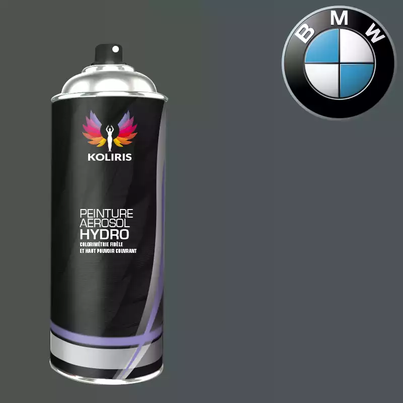 Bombe de peinture voiture hydro Bmw 400ml