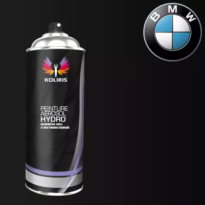 Bombe de peinture voiture hydro Bmw 400ml