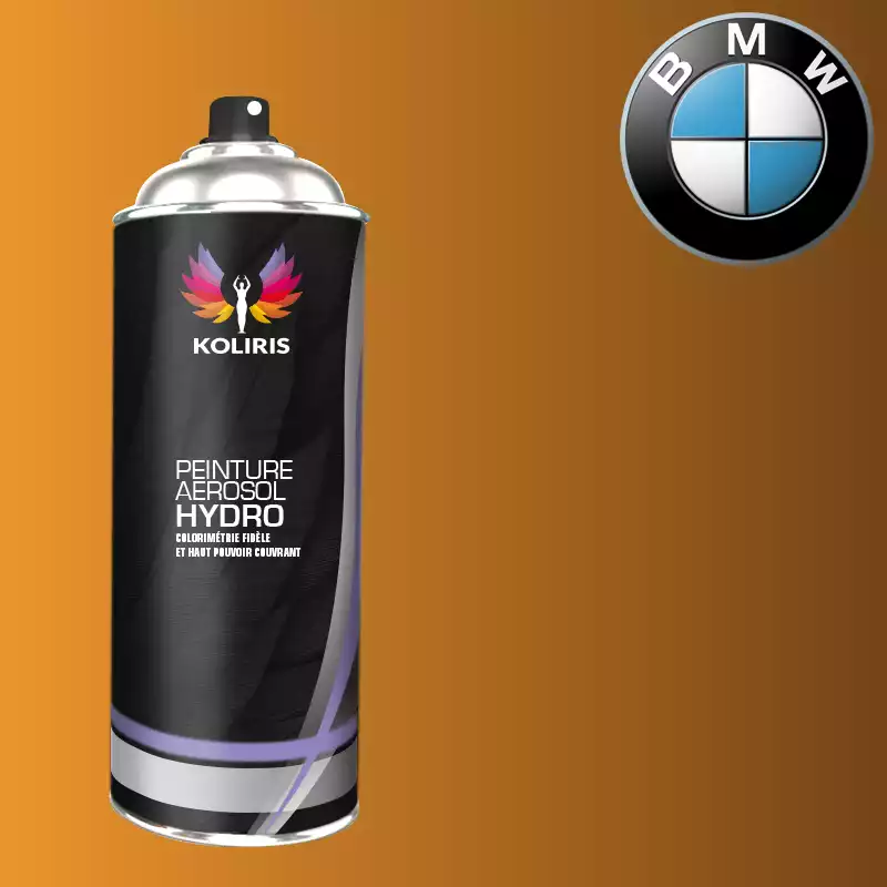 Bombe de peinture voiture hydro Bmw 400ml