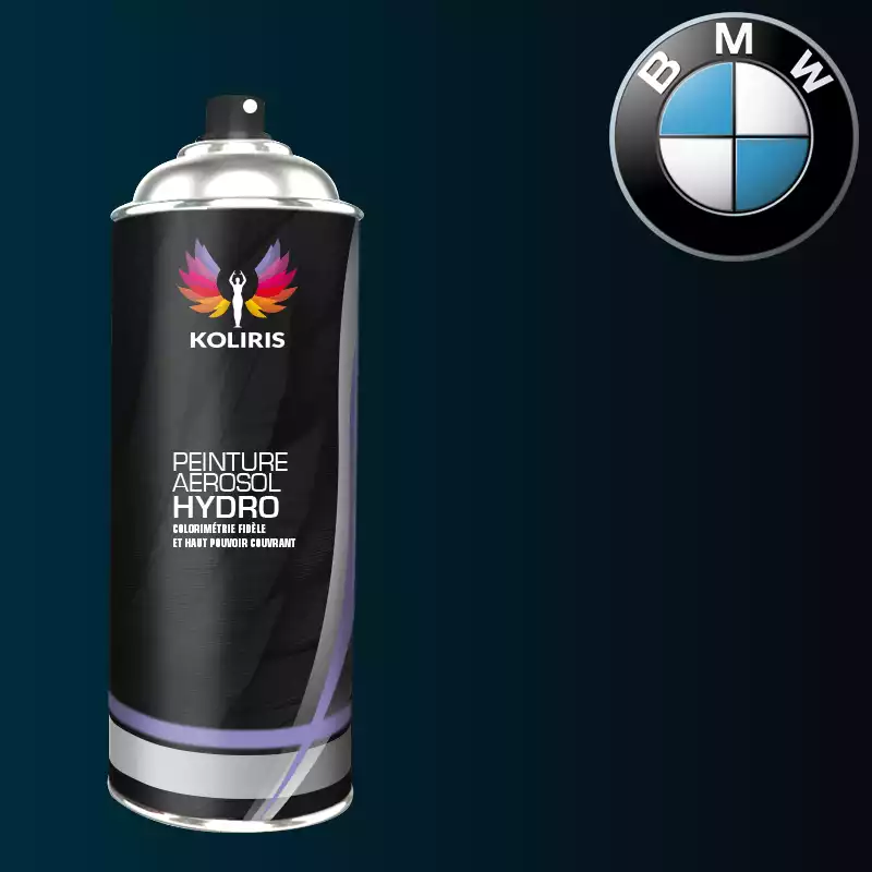 Bombe de peinture voiture hydro Bmw 400ml