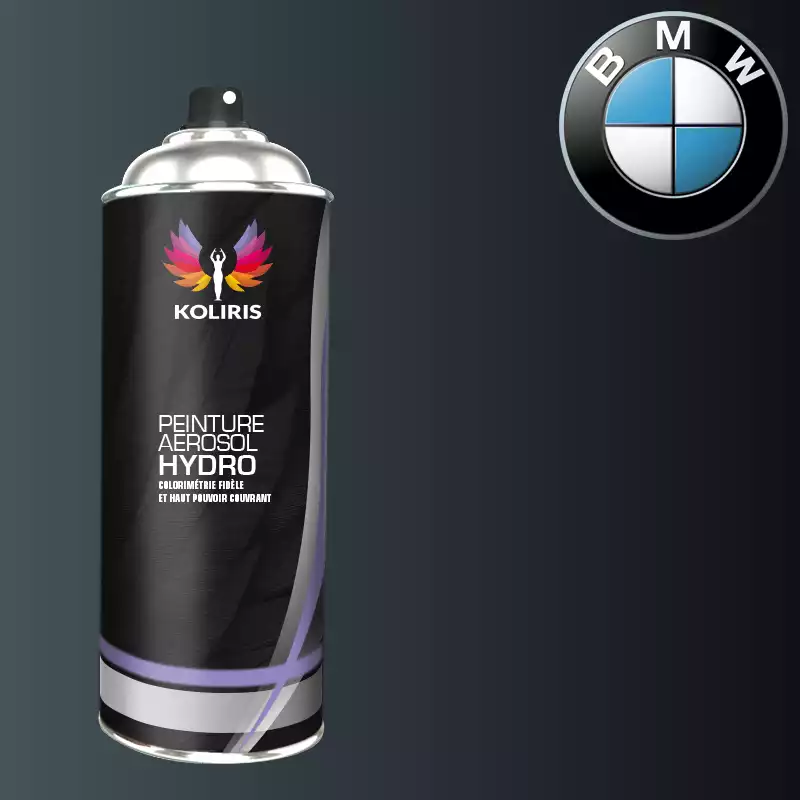 Bombe de peinture voiture hydro Bmw 400ml