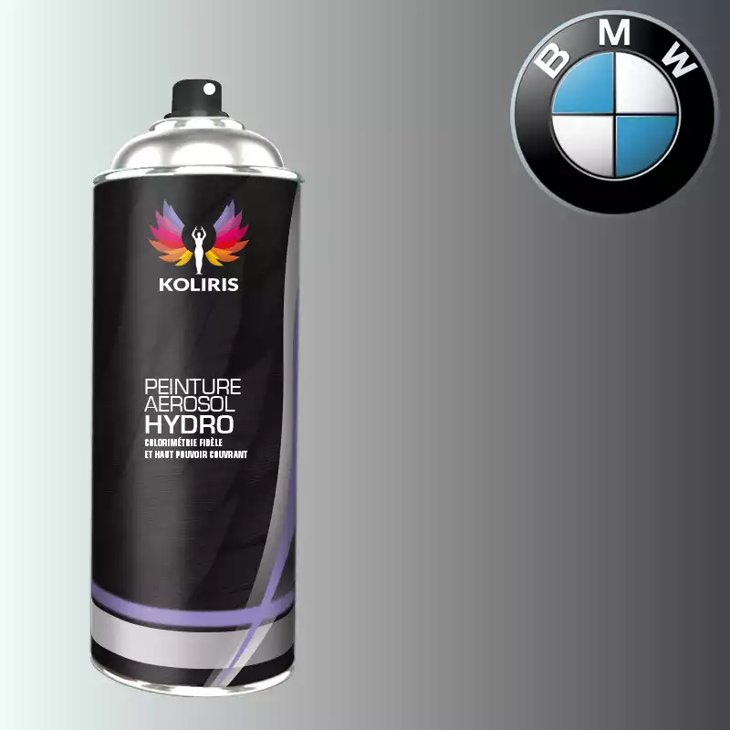 Bombe de peinture voiture hydro Bmw 400ml