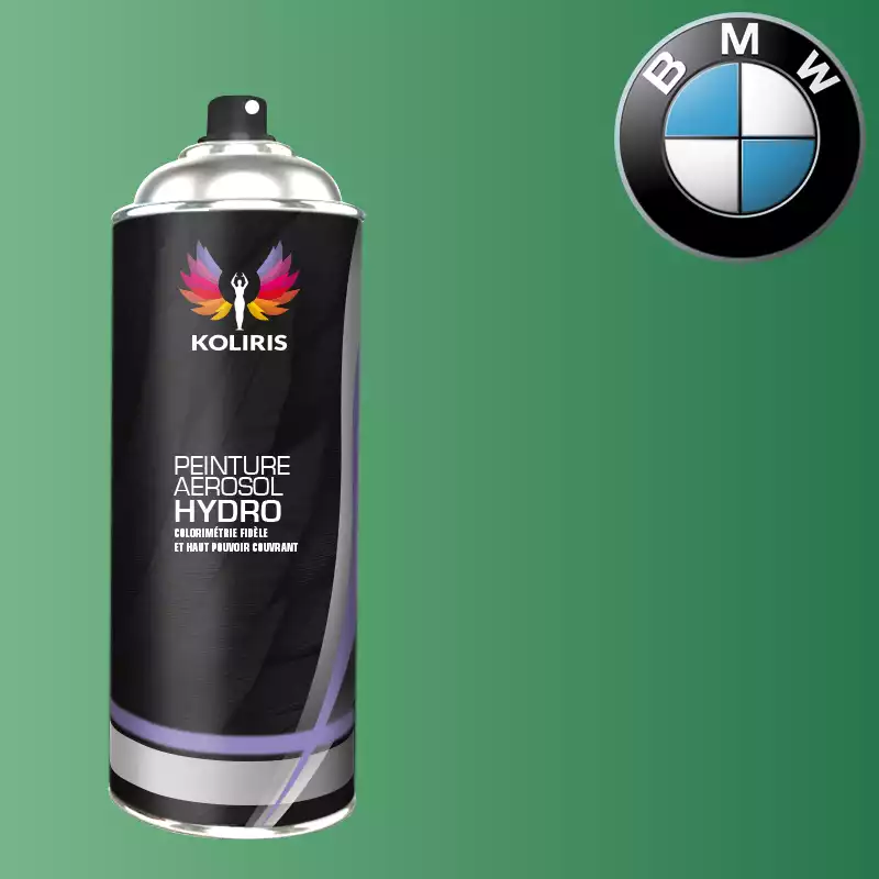 Bombe de peinture voiture hydro Bmw 400ml