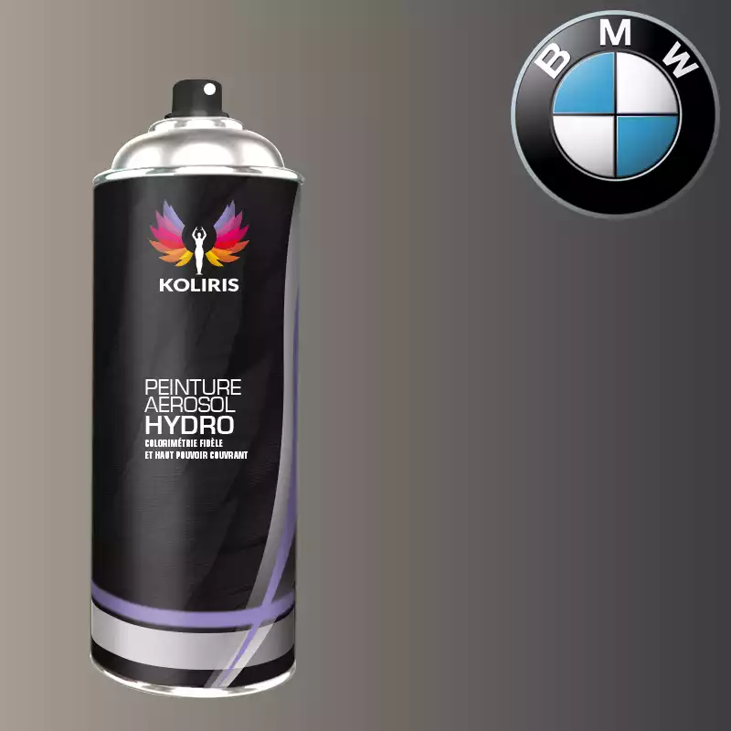 Bombe de peinture voiture hydro Bmw 400ml