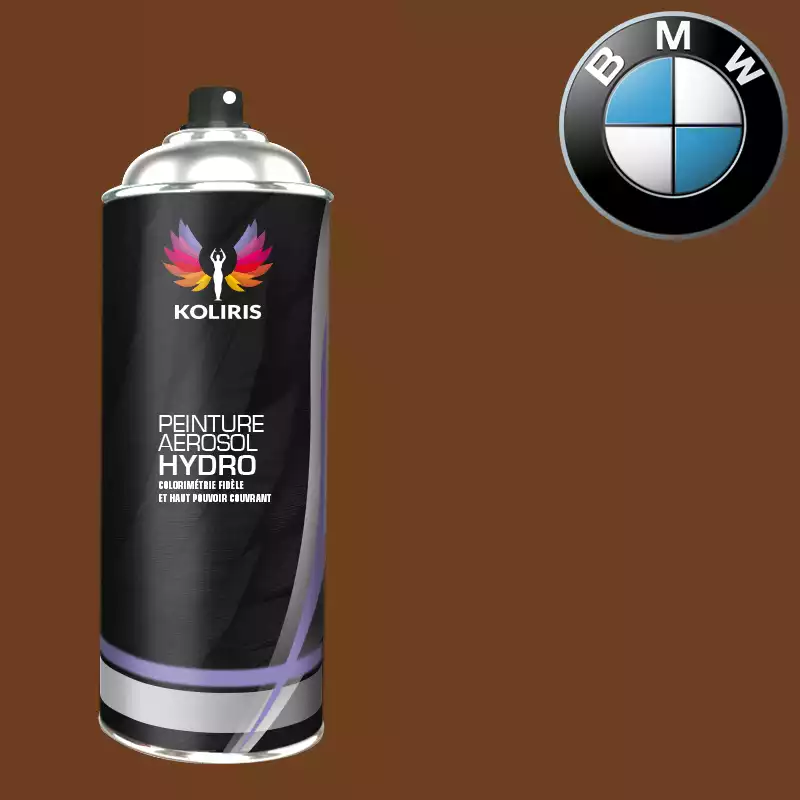 Bombe de peinture voiture hydro Bmw 400ml