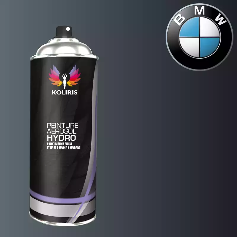 Bombe de peinture voiture hydro Bmw 400ml