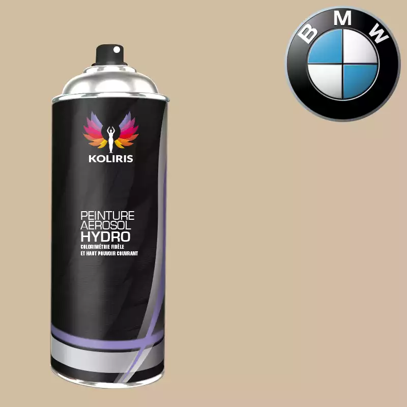 Bombe de peinture voiture hydro Bmw 400ml