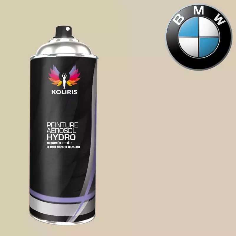 Bombe de peinture voiture hydro Bmw 400ml