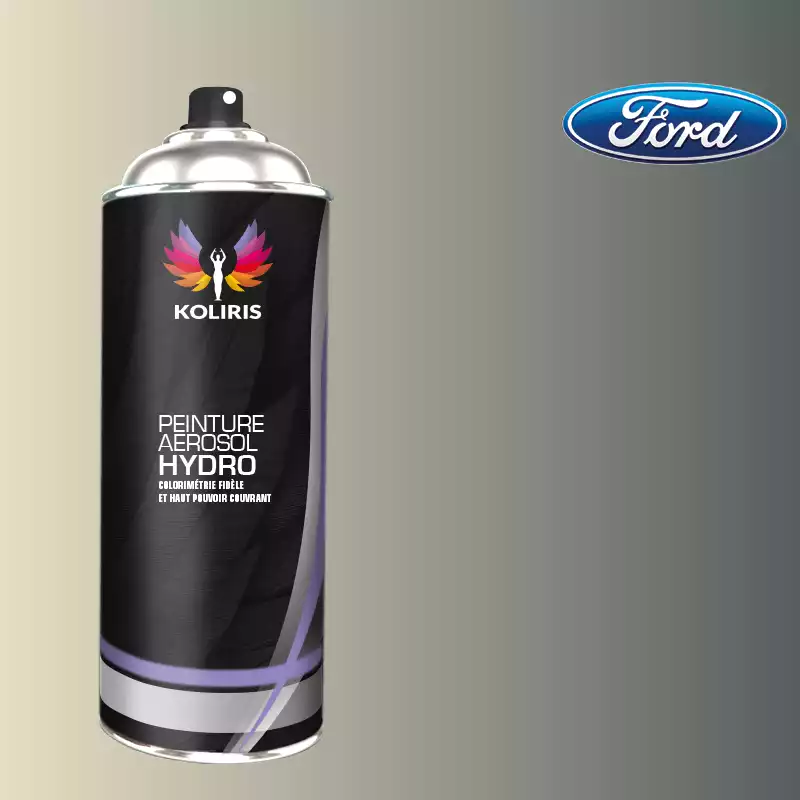 Bombe de peinture voiture hydro Ford 400ml