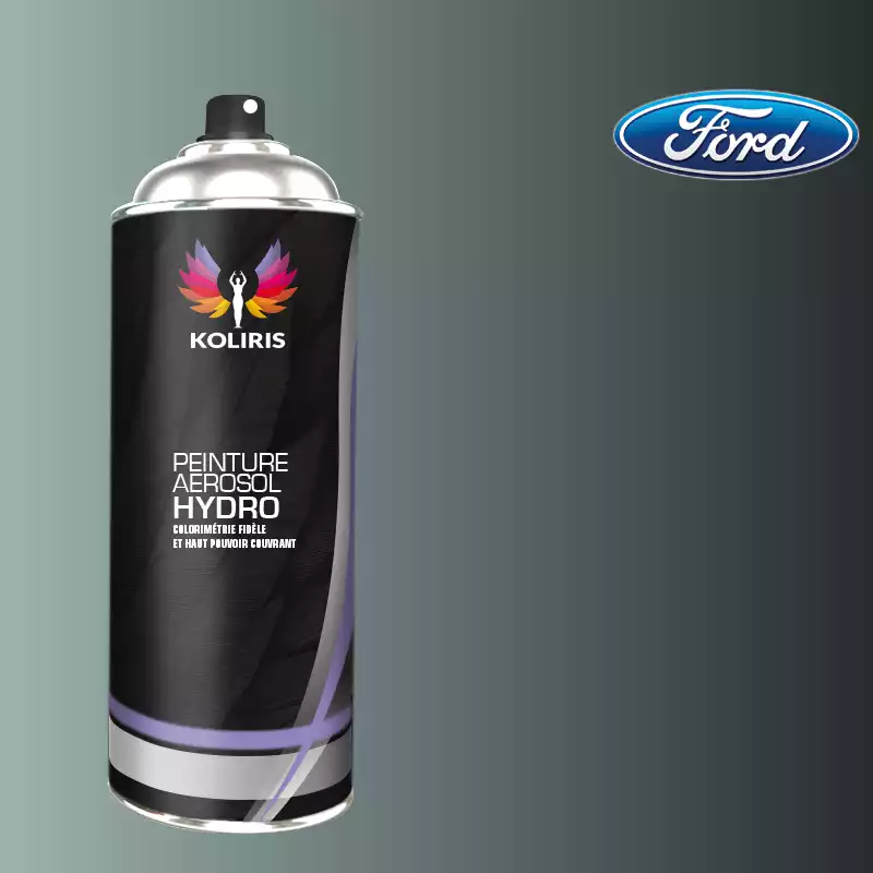 Bombe de peinture voiture hydro Ford 400ml