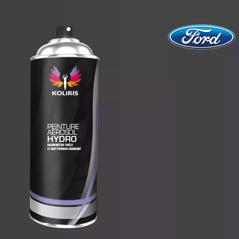 Bombe de peinture voiture hydro Ford 400ml