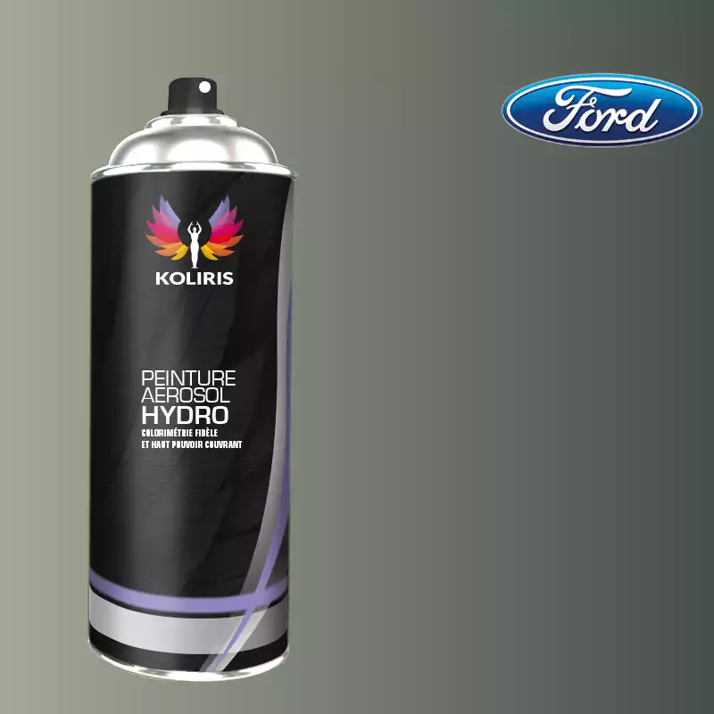 Bombe de peinture voiture hydro Ford 400ml