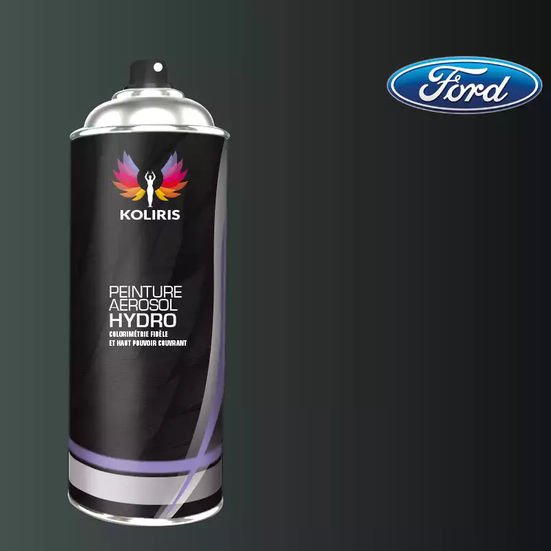 Bombe de peinture voiture hydro Ford 400ml