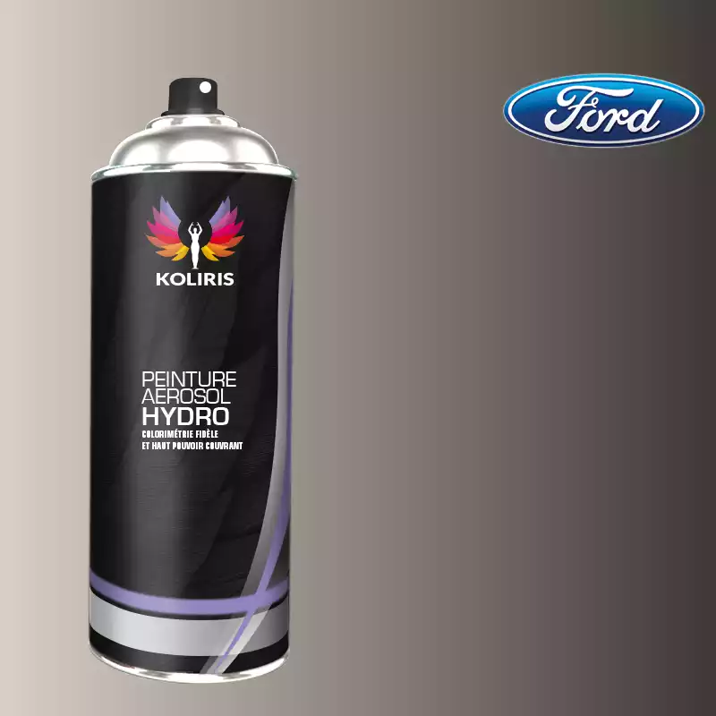 Bombe de peinture voiture hydro Ford 400ml