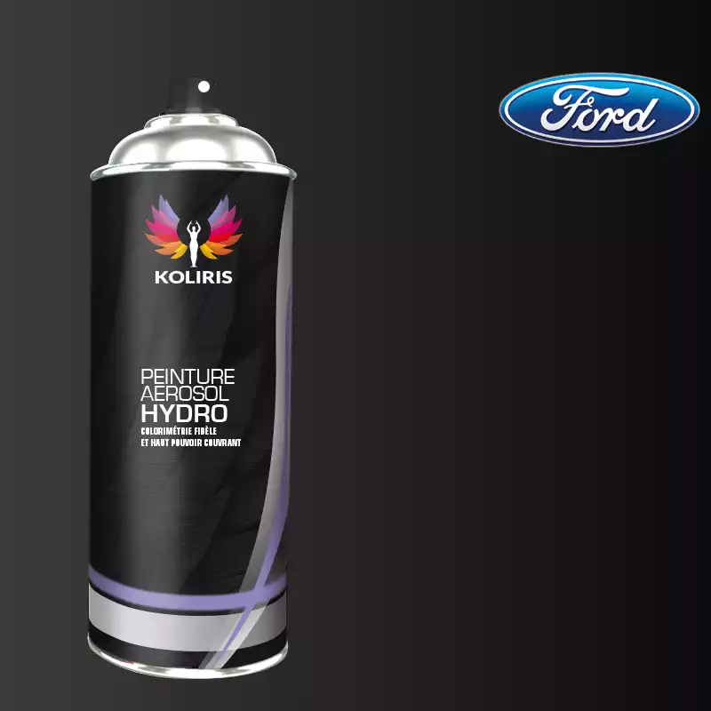 Bombe de peinture voiture hydro Ford 400ml