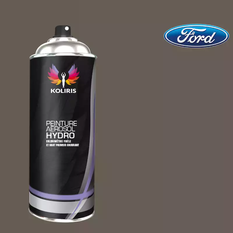 Bombe de peinture voiture hydro Ford 400ml