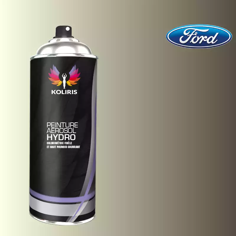 Bombe de peinture voiture hydro Ford 400ml