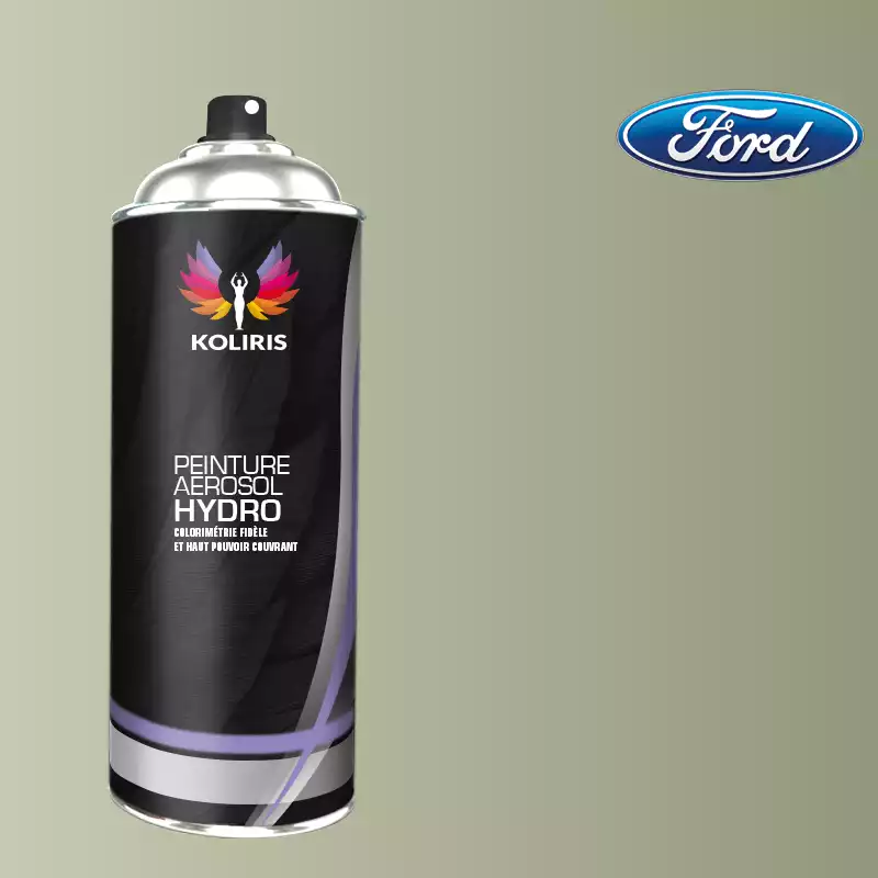 Bombe de peinture voiture hydro Ford 400ml
