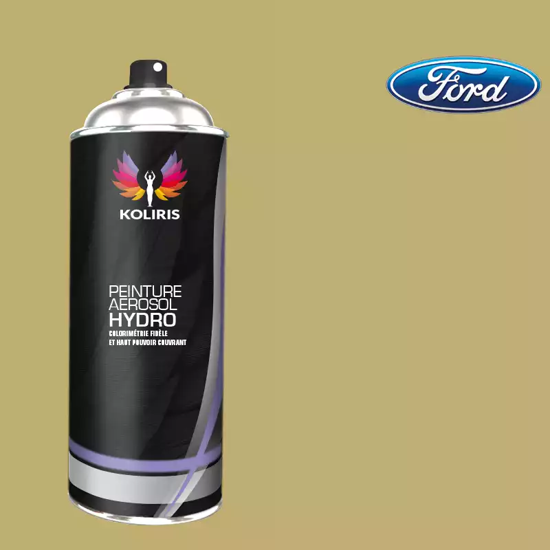 Bombe de peinture voiture hydro Ford 400ml