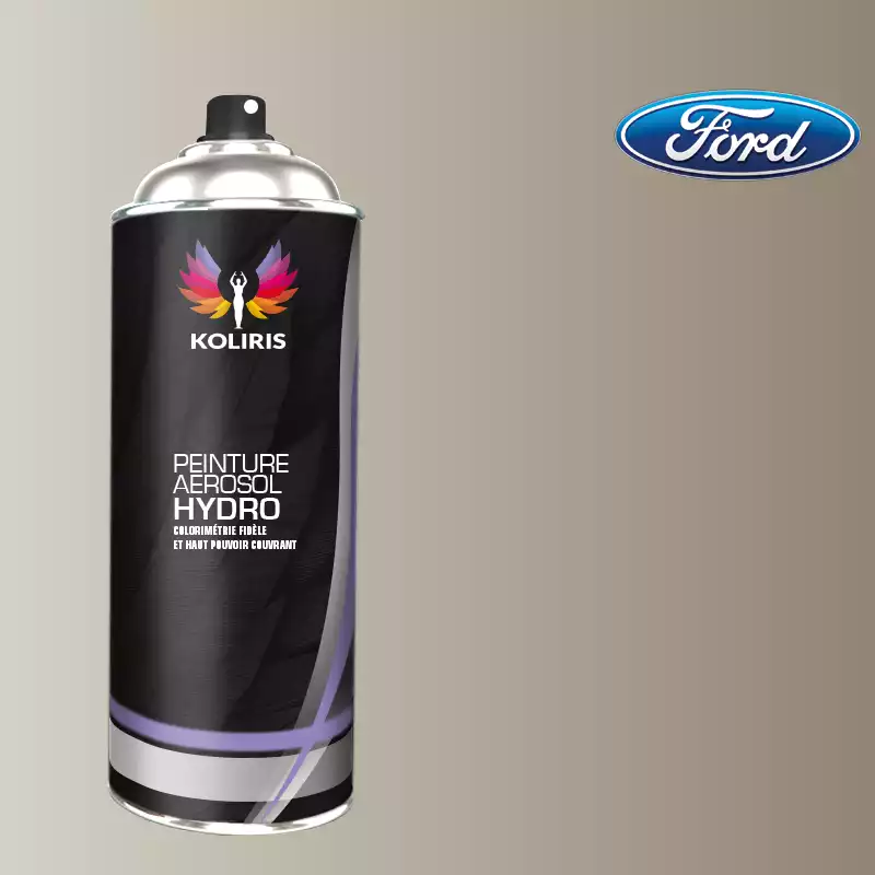 Bombe de peinture voiture hydro Ford 400ml