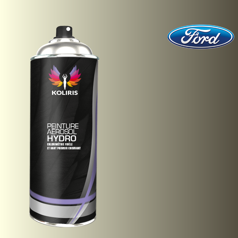 Bombe de peinture voiture hydro Ford 400ml