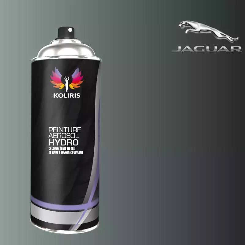 Bombe de peinture voiture hydro Jaguar 400ml