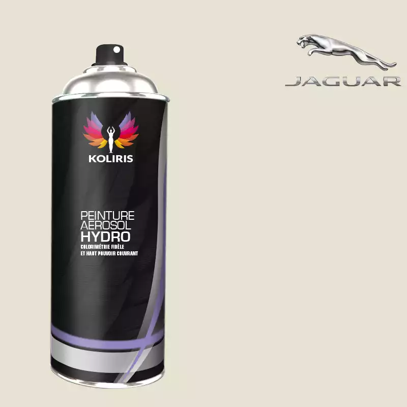 Bombe de peinture voiture hydro Jaguar 400ml