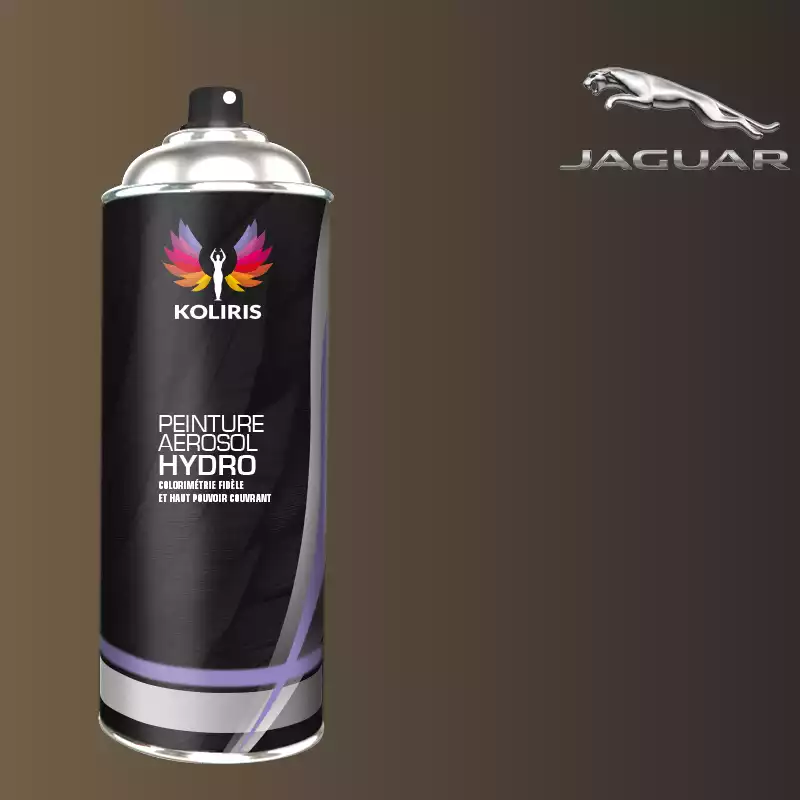 Bombe de peinture voiture hydro Jaguar 400ml