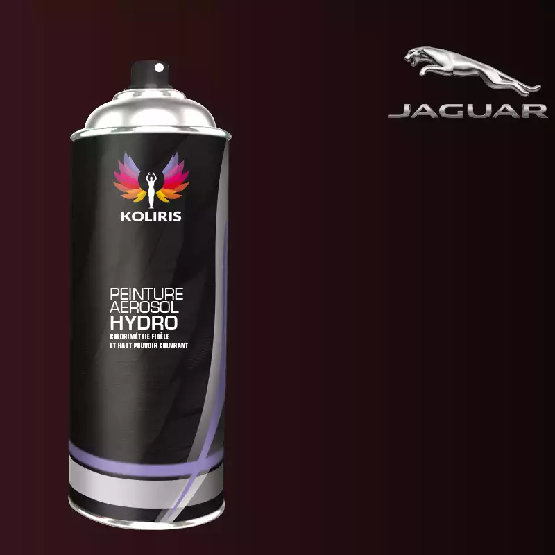 Bombe de peinture voiture hydro Jaguar 400ml