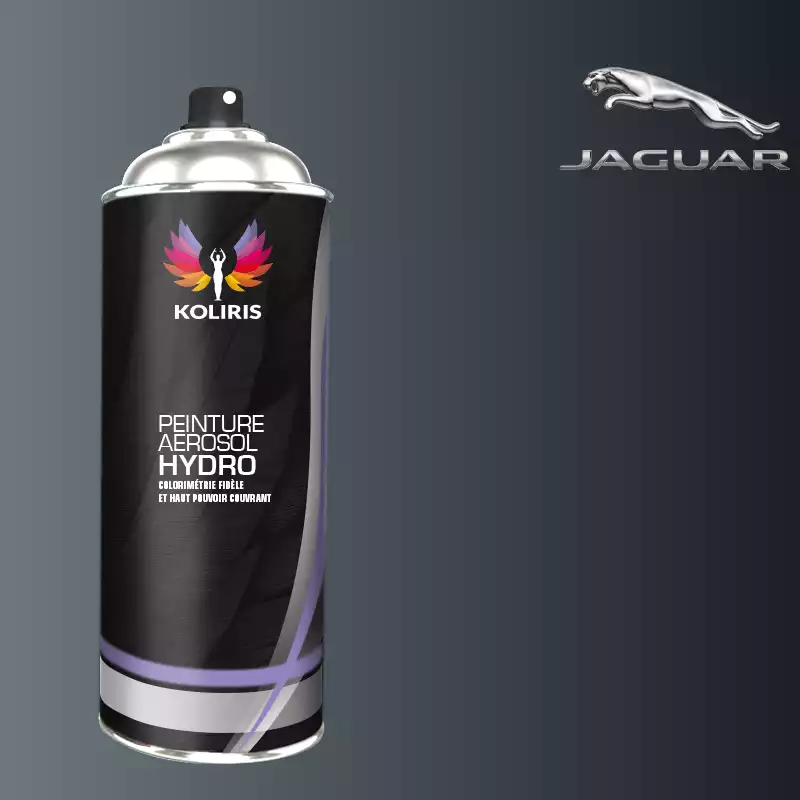 Bombe de peinture voiture hydro Jaguar 400ml