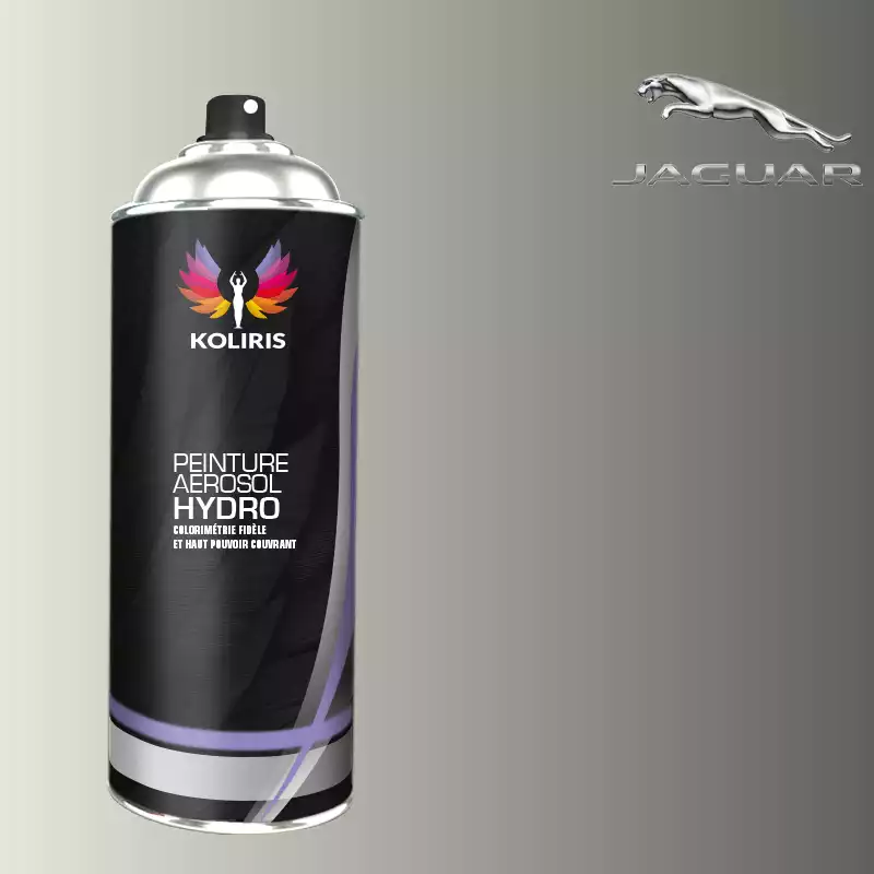 Bombe de peinture voiture hydro Jaguar 400ml