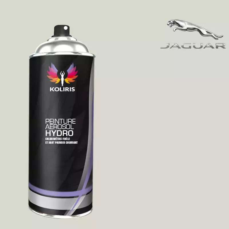 Bombe de peinture voiture hydro Jaguar 400ml