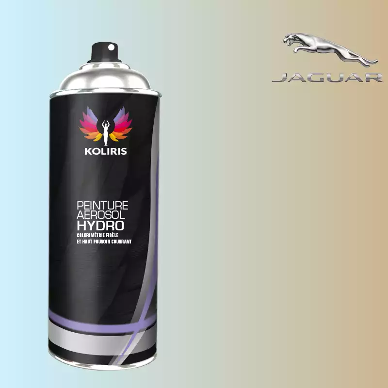 Bombe de peinture voiture hydro Jaguar 400ml