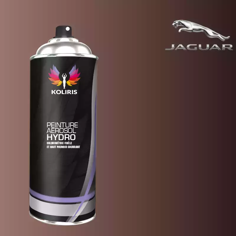 Bombe de peinture voiture hydro Jaguar 400ml