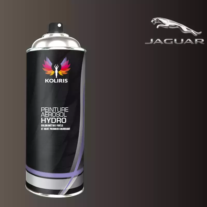 Bombe de peinture voiture hydro Jaguar 400ml