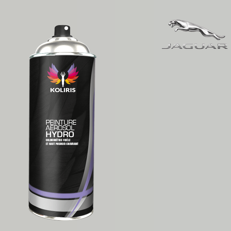 Bombe de peinture voiture hydro Jaguar 400ml