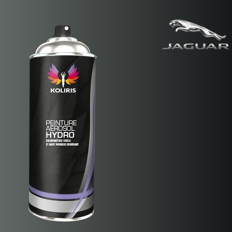 Bombe de peinture voiture hydro Jaguar 400ml