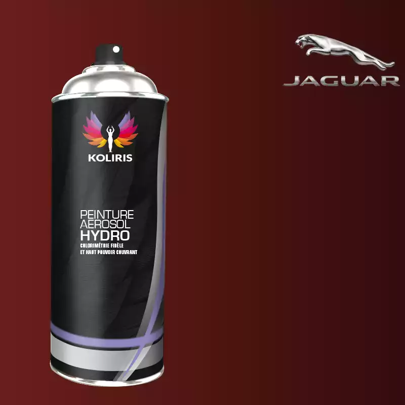 Bombe de peinture voiture hydro Jaguar 400ml