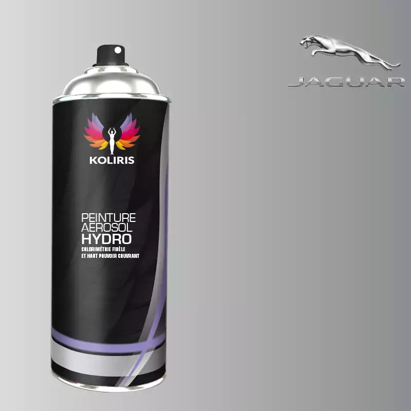 Bombe de peinture voiture hydro Jaguar 400ml