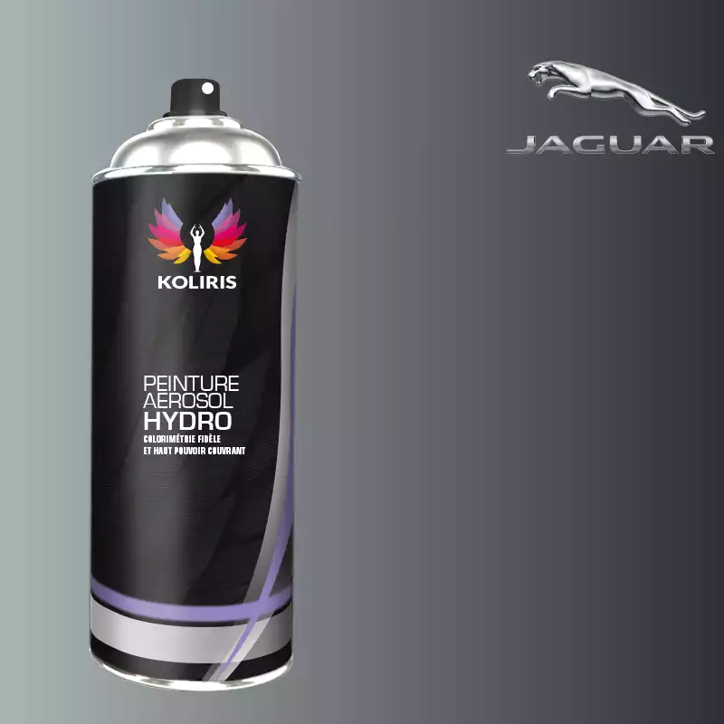 Bombe de peinture voiture hydro Jaguar 400ml