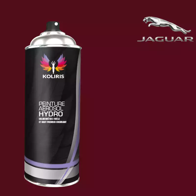 Bombe de peinture voiture hydro Jaguar 400ml