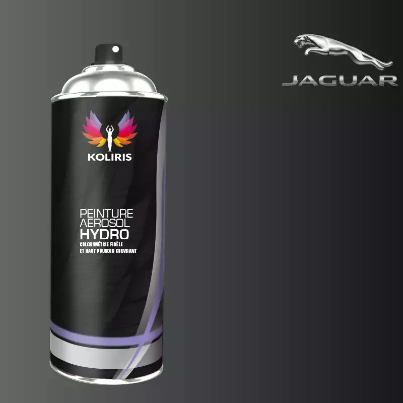 Bombe de peinture voiture hydro Jaguar 400ml