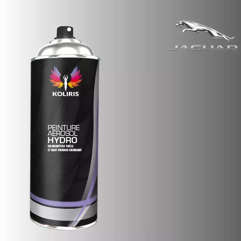 Bombe de peinture voiture hydro Jaguar 400ml