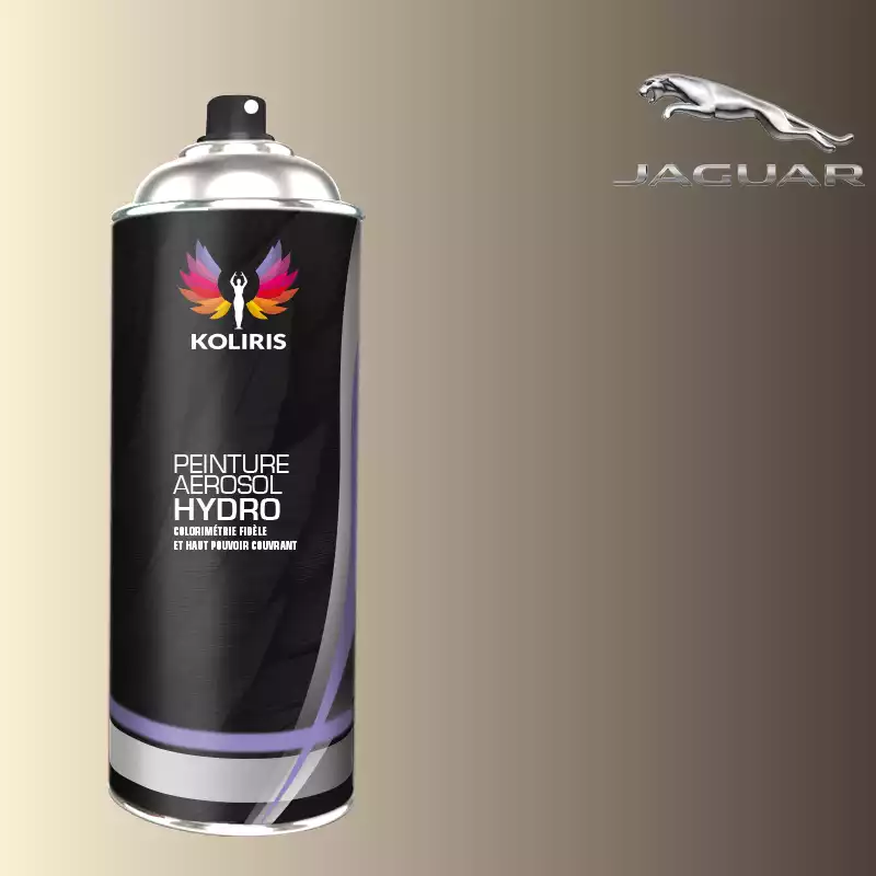 Bombe de peinture voiture hydro Jaguar 400ml