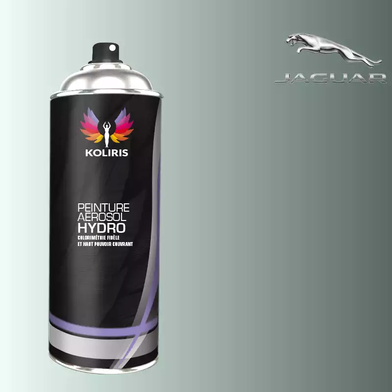 Bombe de peinture voiture hydro Jaguar 400ml