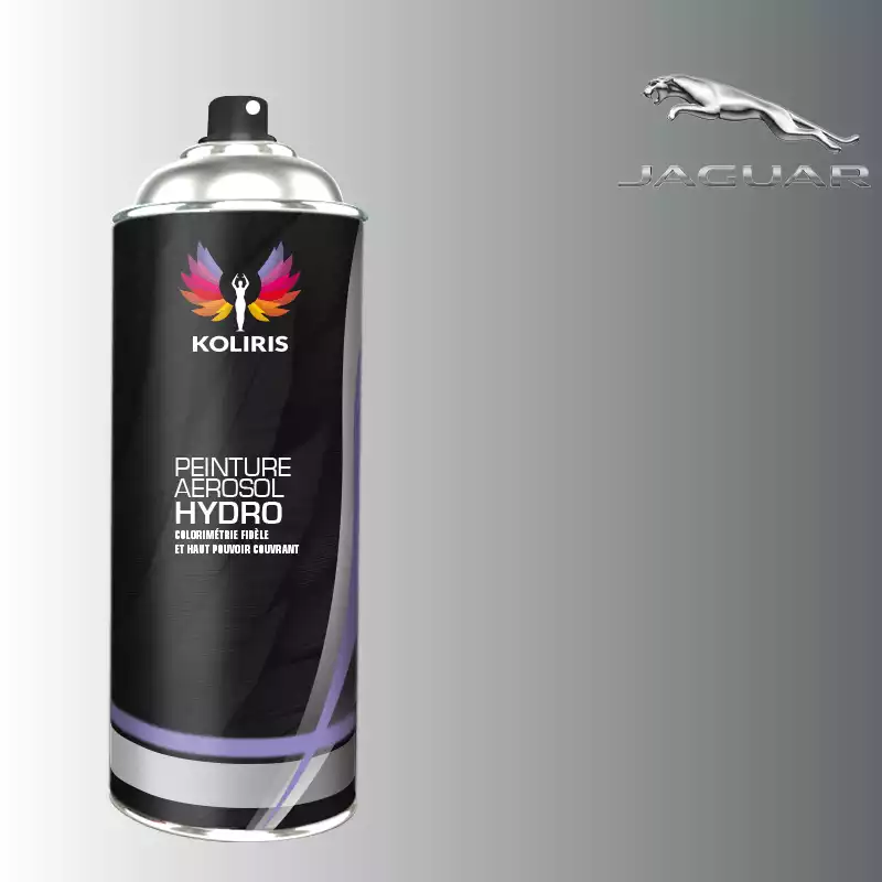 Bombe de peinture voiture hydro Jaguar 400ml