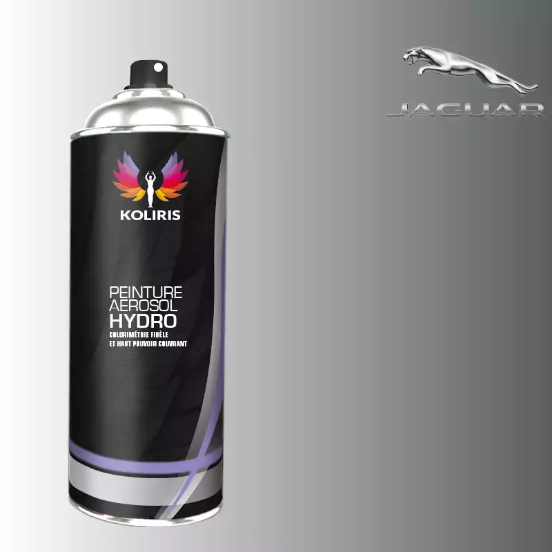 Bombe de peinture voiture hydro Jaguar 400ml